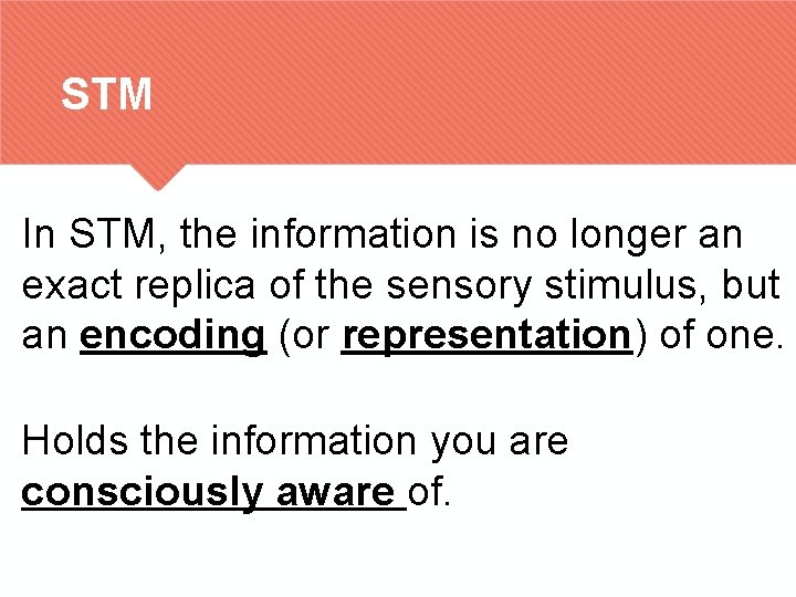 STM In STM, the information is no longer an exact replica of the sensory