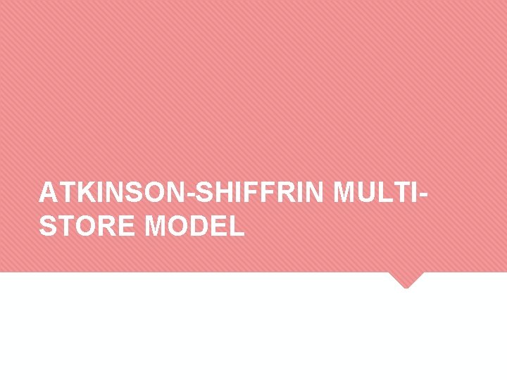 ATKINSON-SHIFFRIN MULTISTORE MODEL 
