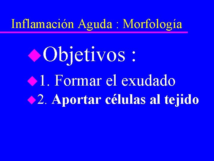 Inflamación Aguda : Morfología u. Objetivos : u 1. Formar el exudado u 2.