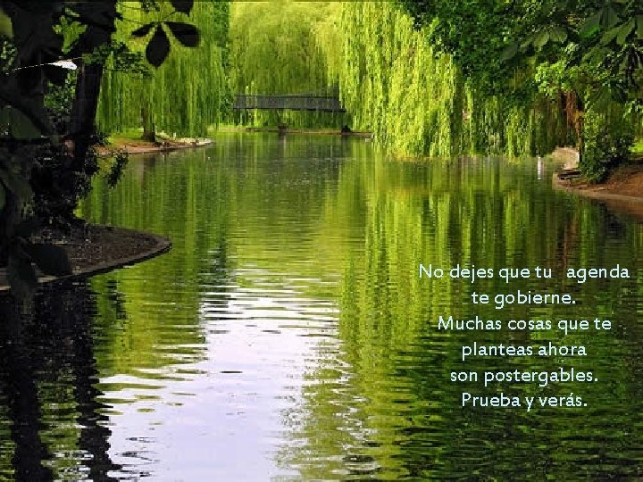 No dejes que tu agenda te gobierne. Muchas cosas que te planteas ahora son No dejes que tu agenda te gobierne. Muchas cosas que te planteas ahora son