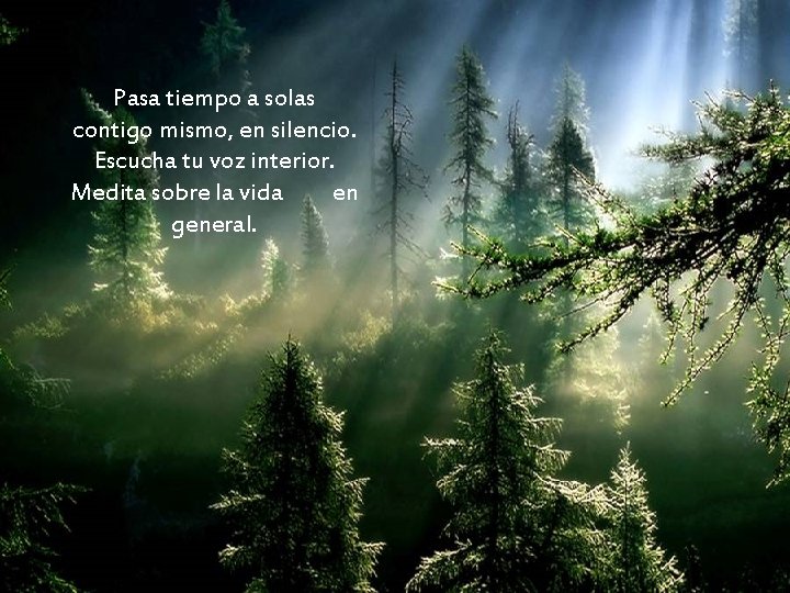 Pasa tiempo a solas contigo mismo, en silencio. Escucha tu voz interior. Medita sobre Pasa tiempo a solas contigo mismo, en silencio. Escucha tu voz interior. Medita sobre