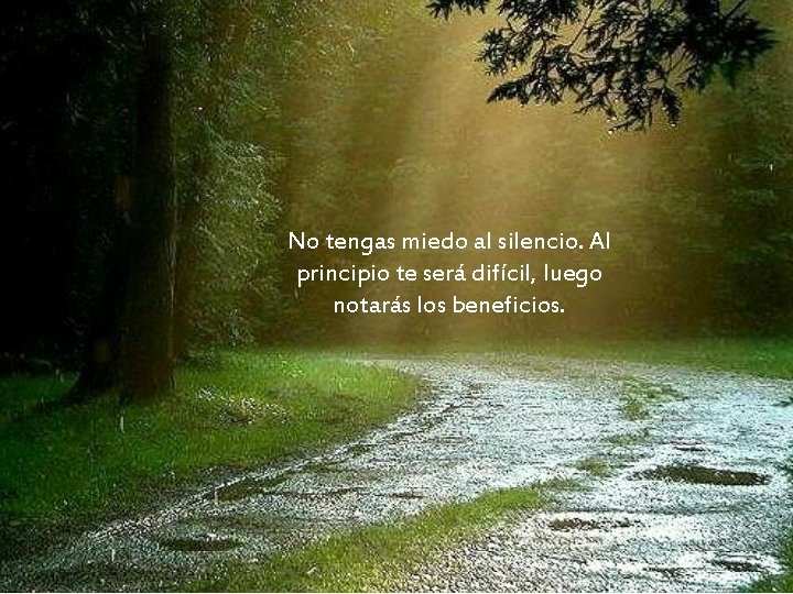 No tengas miedo al silencio. Al principio te será difícil, luego notarás los beneficios. No tengas miedo al silencio. Al principio te será difícil, luego notarás los beneficios.