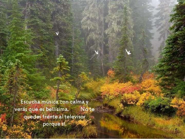 Escucha música con calma y verás que es bellísima. No te quedes frente al Escucha música con calma y verás que es bellísima. No te quedes frente al