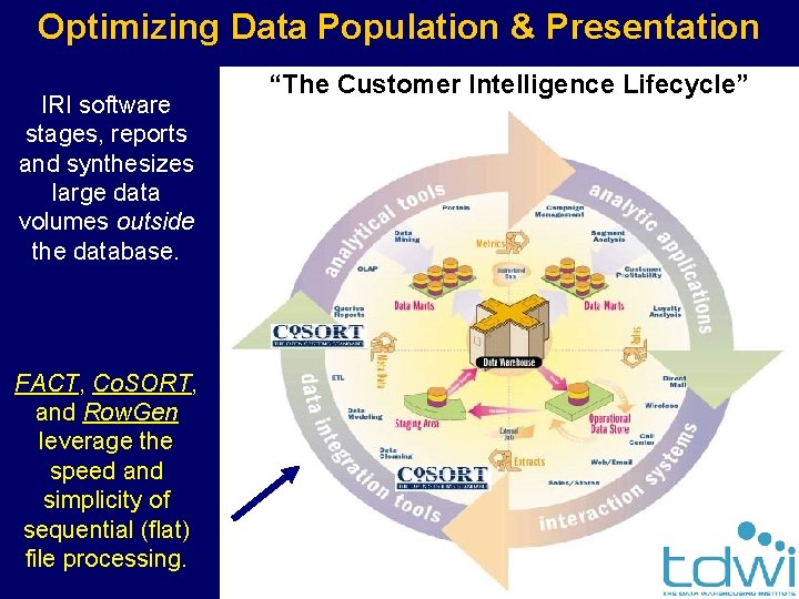 Optimizing Data Population & Presentation IRI software stages, reports and synthesizes large data volumes