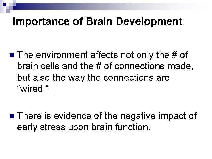 Importance of Brain Development n The environment affects not only the # of brain