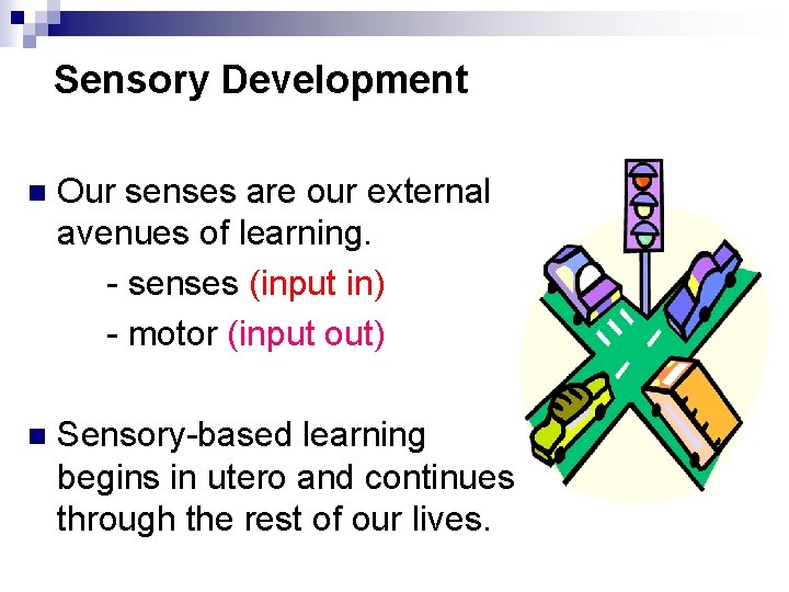 Sensory Development n Our senses are our external avenues of learning. - senses (input