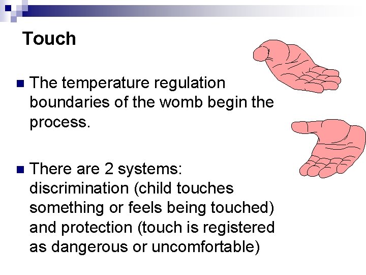 Touch n The temperature regulation boundaries of the womb begin the process. n There