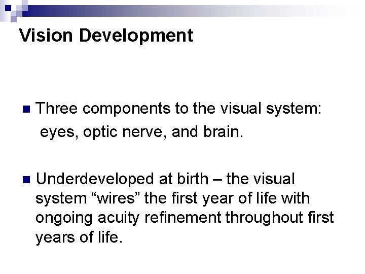 Vision Development n Three components to the visual system: eyes, optic nerve, and brain.