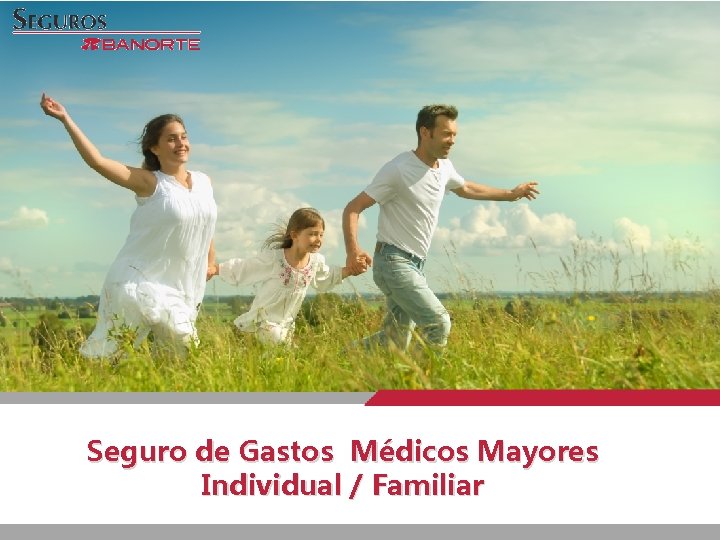 Seguro de Gastos Médicos Mayores Individual / Familiar 