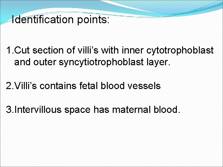 Identification points: 1. Cut section of villi’s with inner cytotrophoblast and outer syncytiotrophoblast layer. Identification points: 1. Cut section of villi’s with inner cytotrophoblast and outer syncytiotrophoblast layer.