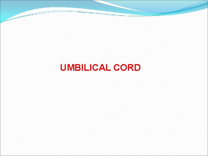 UMBILICAL CORD UMBILICAL CORD