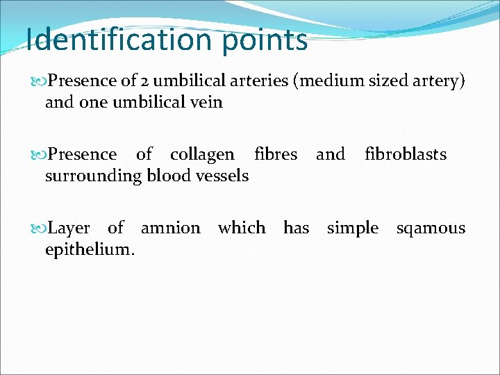 Identification points Presence of 2 umbilical arteries (medium sized artery) and one umbilical vein Identification points Presence of 2 umbilical arteries (medium sized artery) and one umbilical vein