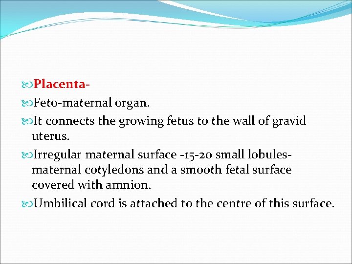 Placenta Feto-maternal organ. It connects the growing fetus to the wall of gravid Placenta Feto-maternal organ. It connects the growing fetus to the wall of gravid