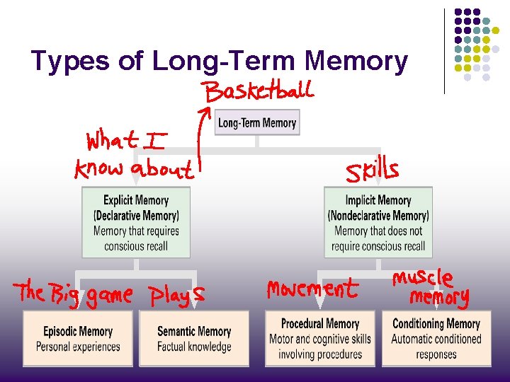 Types of Long-Term Memory 