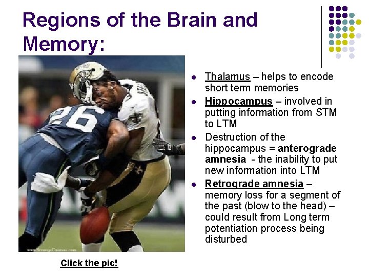 Regions of the Brain and Memory: l l Click the pic! Thalamus – helps