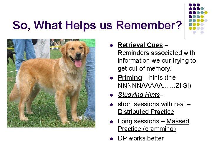 So, What Helps us Remember? l l l Retrieval Cues – Reminders associated with
