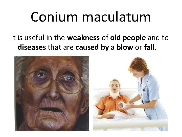 Conium maculatum It is useful in the weakness of old people and to diseases