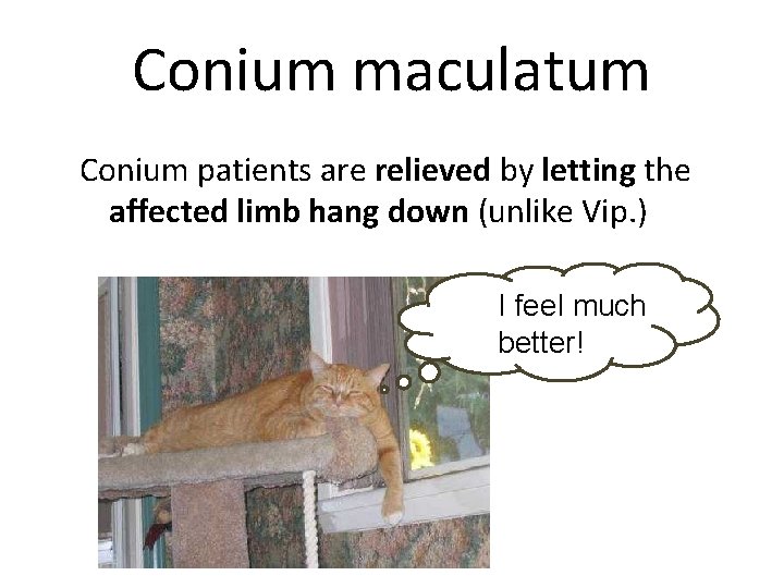 Conium maculatum Conium patients are relieved by letting the affected limb hang down (unlike