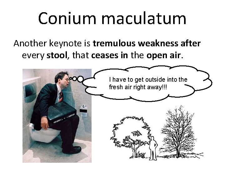 Conium maculatum Another keynote is tremulous weakness after every stool, that ceases in the