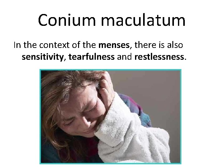 Conium maculatum In the context of the menses, there is also sensitivity, tearfulness and