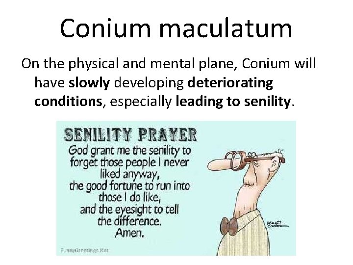 Conium maculatum On the physical and mental plane, Conium will have slowly developing deteriorating