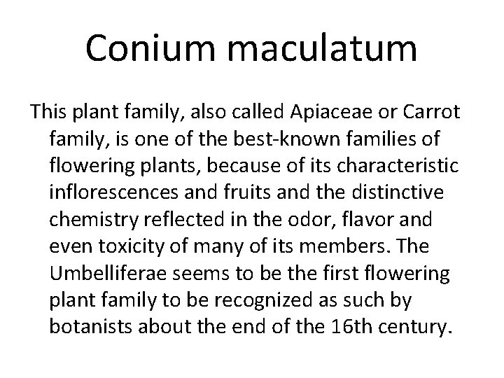 Conium maculatum This plant family, also called Apiaceae or Carrot family, is one of