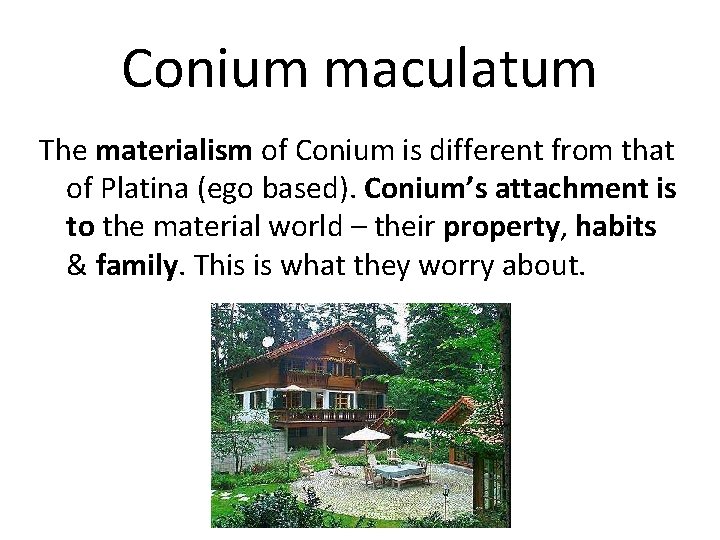 Conium maculatum The materialism of Conium is different from that of Platina (ego based).