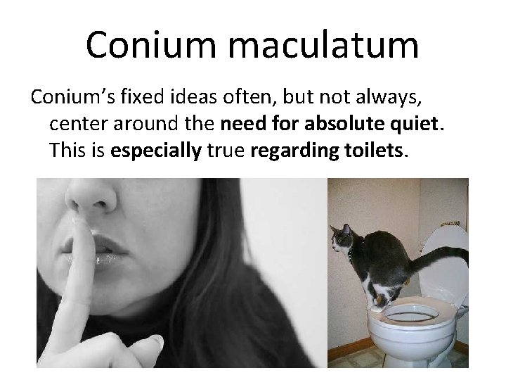 Conium maculatum Conium’s fixed ideas often, but not always, center around the need for