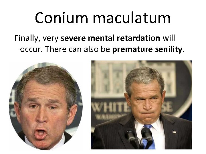 Conium maculatum Finally, very severe mental retardation will occur. There can also be premature