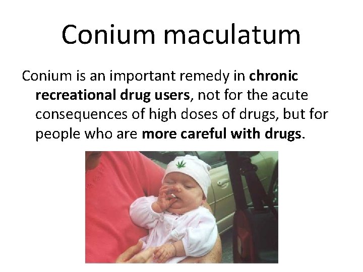 Conium maculatum Conium is an important remedy in chronic recreational drug users, not for