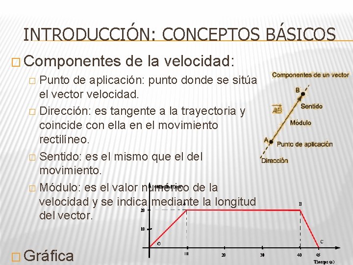 INTRODUCCIÓN: CONCEPTOS BÁSICOS � Componentes de la velocidad: Punto de aplicación: punto donde se