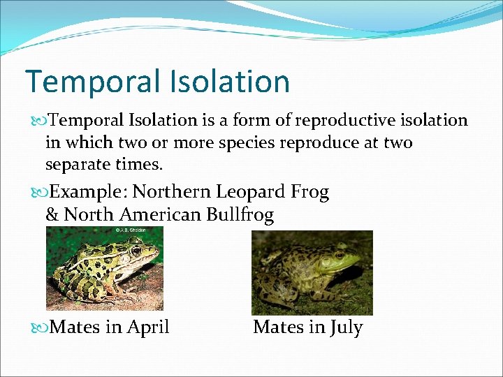 Temporal Isolation is a form of reproductive isolation in which two or more species