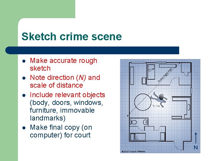 Sketch crime scene l l Make accurate rough sketch Note direction (N) and scale Sketch crime scene l l Make accurate rough sketch Note direction (N) and scale