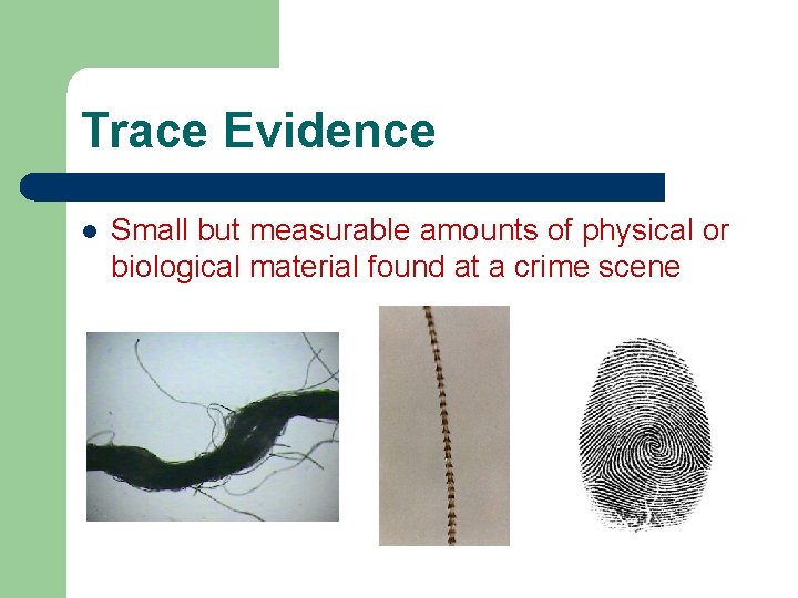 Trace Evidence l Small but measurable amounts of physical or biological material found at Trace Evidence l Small but measurable amounts of physical or biological material found at