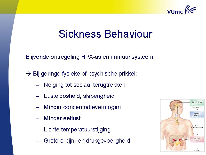 Sickness Behaviour Blijvende ontregeling HPA-as en immuunsysteem Bij geringe fysieke of psychische prikkel: –