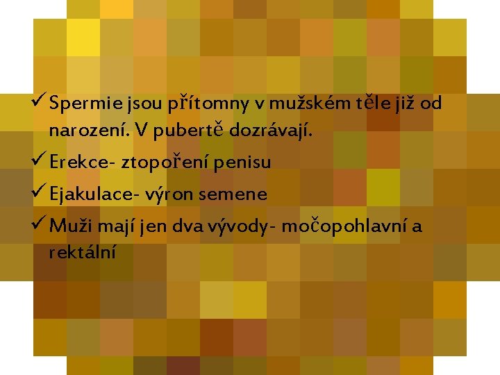 ü Spermie jsou přítomny v mužském těle již od narození. V pubertě dozrávají. ü