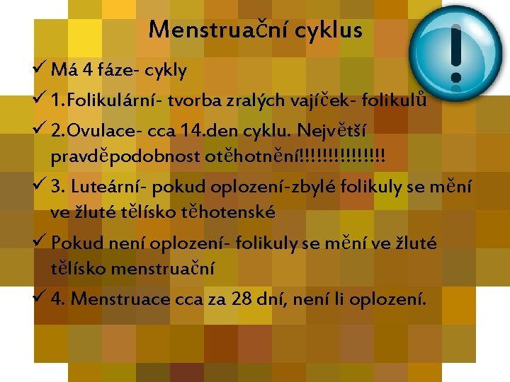 Menstruační cyklus ü Má 4 fáze- cykly ü 1. Folikulární- tvorba zralých vajíček- folikulů