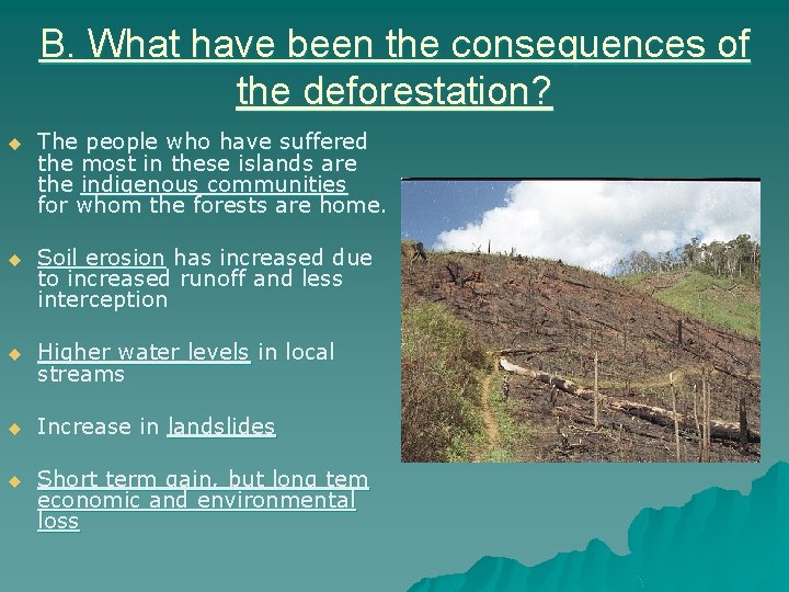B. What have been the consequences of the deforestation? u The people who have B. What have been the consequences of the deforestation? u The people who have