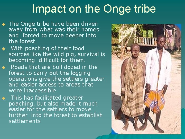 Impact on the Onge tribe u u The Onge tribe have been driven away Impact on the Onge tribe u u The Onge tribe have been driven away