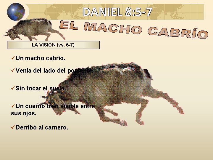 DANIEL 8: 5 -7 LA VISIÓN (vv. 5 -7) üUn macho cabrío. üVenía del DANIEL 8: 5 -7 LA VISIÓN (vv. 5 -7) üUn macho cabrío. üVenía del