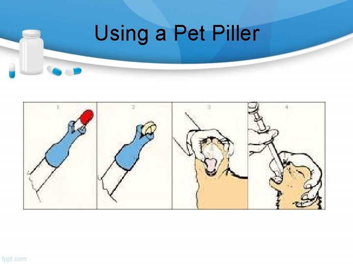 Using a Pet Piller 