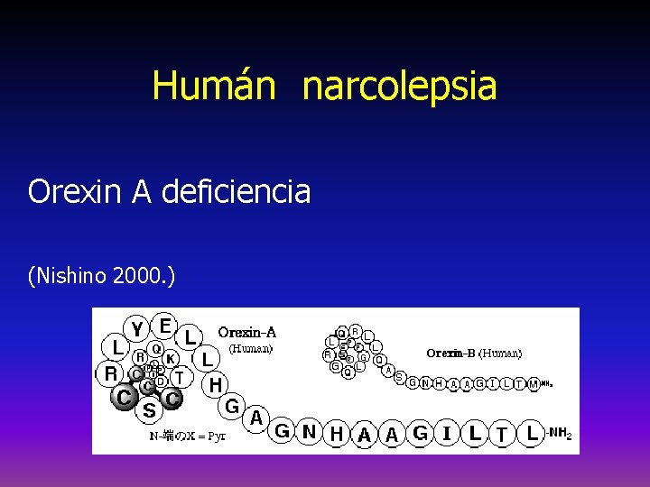 Humán narcolepsia Orexin A deficiencia (Nishino 2000. ) 