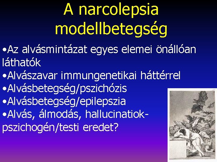 A narcolepsia modellbetegség • Az alvásmintázat egyes elemei önállóan láthatók • Alvászavar immungenetikai háttérrel