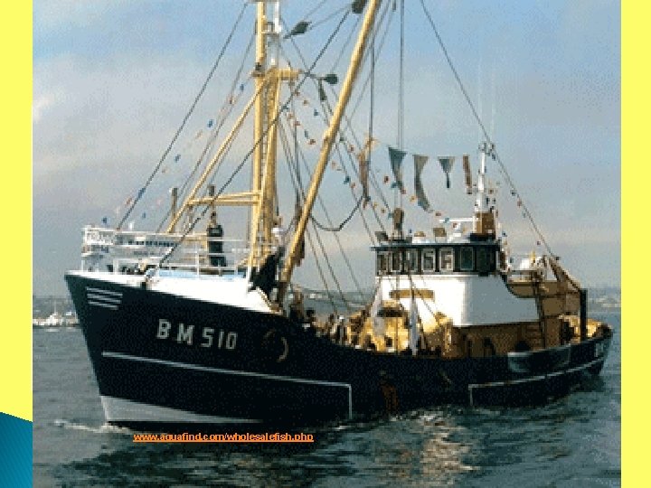 Appositive “Makeover” The boat bobbed lifelessly in the Lake Michigan swells. The boat, a Appositive “Makeover” The boat bobbed lifelessly in the Lake Michigan swells. The boat, a