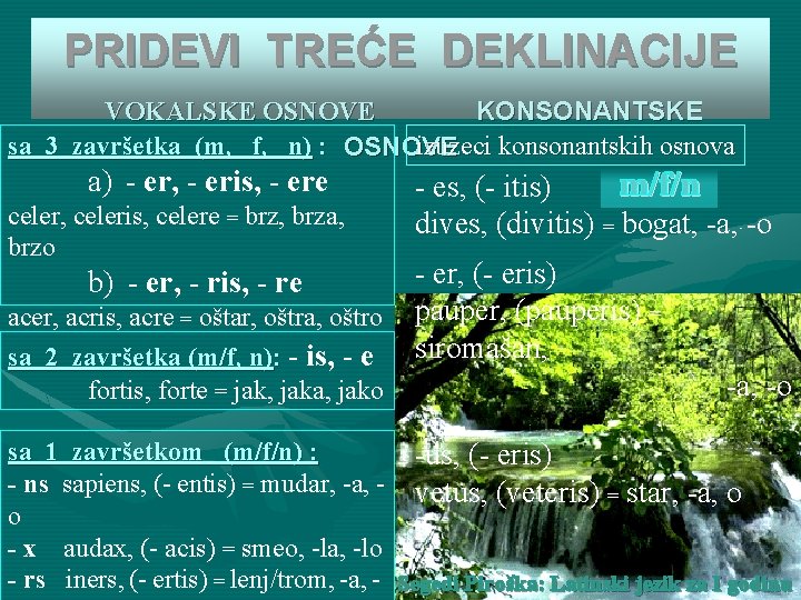 PRIDEVI TREĆE DEKLINACIJE VOKALSKE OSNOVE KONSONANTSKE sa 3 završetka (m, f, n) : OSNOVE
