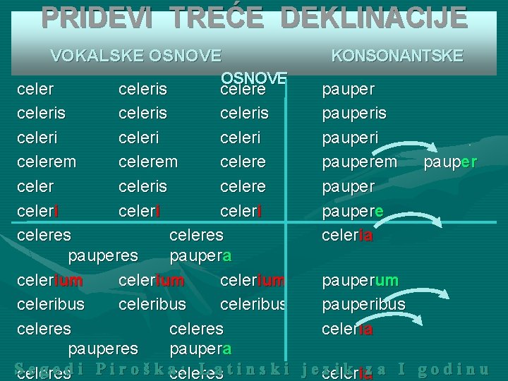 PRIDEVI TREĆE DEKLINACIJE VOKALSKE OSNOVE KONSONANTSKE OSNOVE celeris celere pauper celeris pauperis celeri pauperi