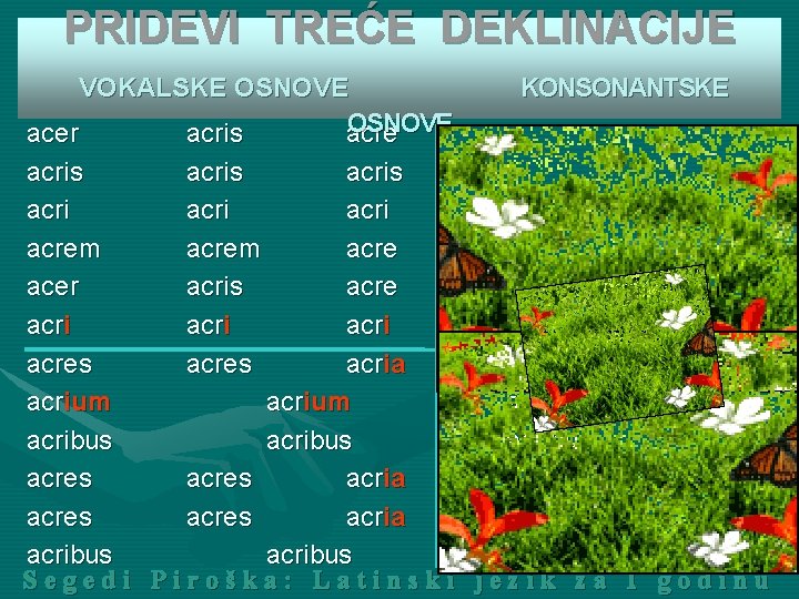 PRIDEVI TREĆE DEKLINACIJE VOKALSKE OSNOVE acer acris acre KONSONANTSKE acris acri acrem acre acer