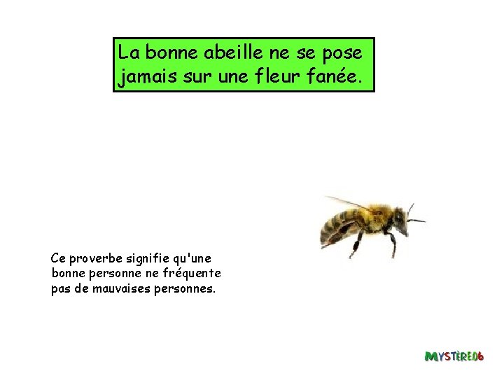 La bonne abeille ne se pose jamais sur une fleur fanée. Ce proverbe signifie