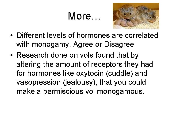 More… • Different levels of hormones are correlated with monogamy. Agree or Disagree •