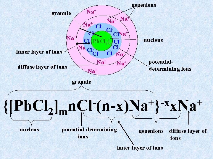 gegenions granule Na+ Na+ Cl. Cl- - + Cl Cl. Na + Na Cl-[Pb.